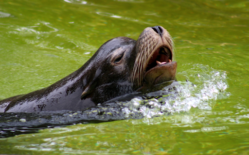 The seal from Chrome web store to be run with OffiDocs Chromium online The seal from Chrome web store to be run with OffiDocs Chromium online