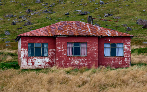 The Wild Red House from Chrome web store to be run with OffiDocs Chromium online The Wild Red House from Chrome web store to be run with OffiDocs Chromium online