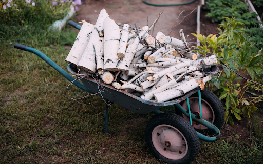 Tortoise cart carrying wood from Chrome web store to be run with OffiDocs Chromium online Tortoise cart carrying wood from Chrome web store to be run with OffiDocs Chromium online