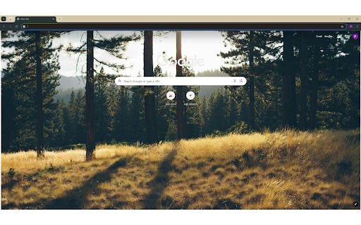 Trees during Day from Chrome web store to be run with OffiDocs Chromium online Trees during Day from Chrome web store to be run with OffiDocs Chromium online