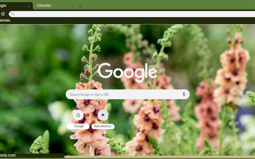Verbascum from Chrome web store to be run with OffiDocs Chromium online Verbascum from Chrome web store to be run with OffiDocs Chromium online