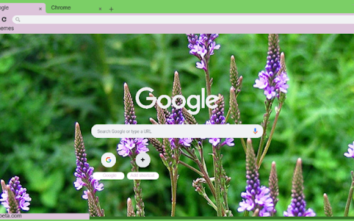 Vervain from Chrome web store to be run with OffiDocs Chromium online Vervain from Chrome web store to be run with OffiDocs Chromium online