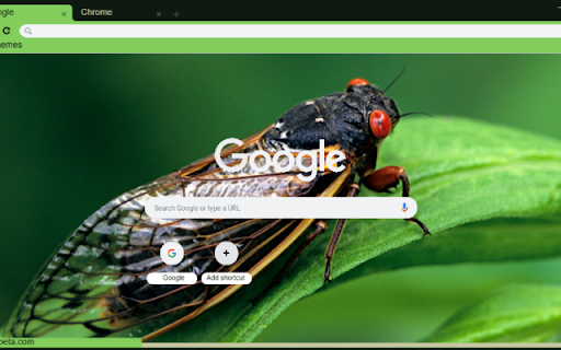 Ve Sau from Chrome web store to be run with OffiDocs Chromium online Ve Sau from Chrome web store to be run with OffiDocs Chromium online