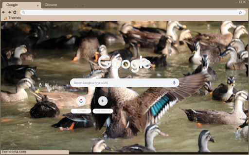 Vit troi from Chrome web store to be run with OffiDocs Chromium online Vit troi from Chrome web store to be run with OffiDocs Chromium online