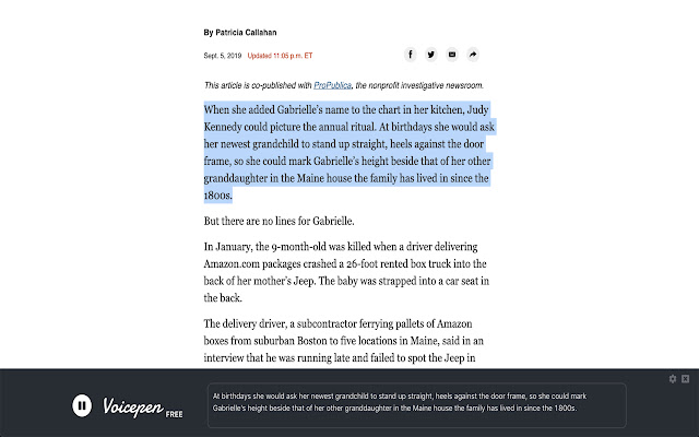 Voicepen from Chrome web store to be run with OffiDocs Chromium online Voicepen from Chrome web store to be run with OffiDocs Chromium online