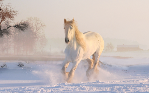White Horse Snow from Chrome web store to be run with OffiDocs Chromium online White Horse Snow from Chrome web store to be run with OffiDocs Chromium online
