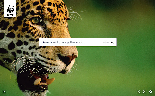 WWF Panda Search from Chrome web store to be run with OffiDocs Chromium online WWF Panda Search from Chrome web store to be run with OffiDocs Chromium online