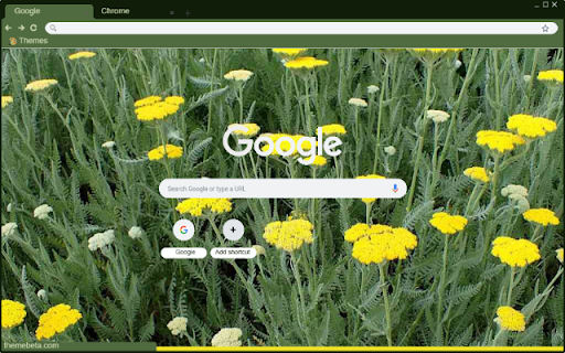 Yarrow Moonshine from Chrome web store to be run with OffiDocs Chromium online Yarrow Moonshine from Chrome web store to be run with OffiDocs Chromium online
