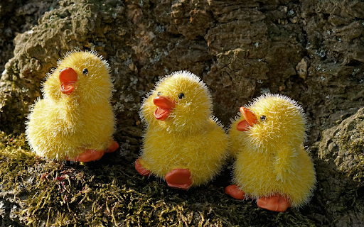 Yellow stuffed duck from Chrome web store to be run with OffiDocs Chromium online Yellow stuffed duck from Chrome web store to be run with OffiDocs Chromium online