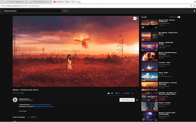 Youtube Image Downloader from Chrome web store to be run with OffiDocs Chromium online Youtube Image Downloader from Chrome web store to be run with OffiDocs Chromium online