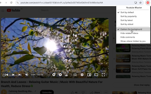 Youtube Master from Chrome web store to be run with OffiDocs Chromium online Youtube Master from Chrome web store to be run with OffiDocs Chromium online
