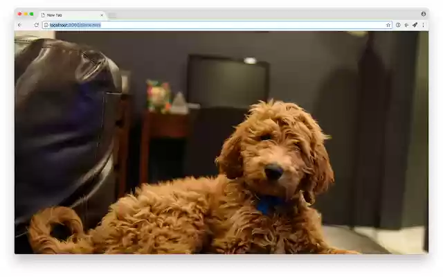A Doodle A Day from Chrome web store to be run with OffiDocs Chromium online A Doodle A Day from Chrome web store to be run with OffiDocs Chromium online