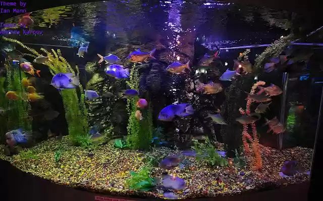 aquarium from Chrome web store to be run with OffiDocs Chromium online aquarium from Chrome web store to be run with OffiDocs Chromium online