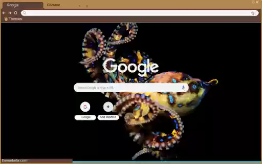 Bach tuoc xanh from Chrome web store to be run with OffiDocs Chromium online Bach tuoc xanh from Chrome web store to be run with OffiDocs Chromium online