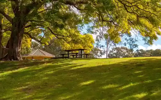 Big trees and grass from Chrome web store to be run with OffiDocs Chromium online Big trees and grass from Chrome web store to be run with OffiDocs Chromium online