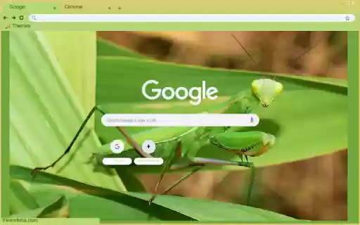 Bo Ngua from Chrome web store to be run with OffiDocs Chromium online Bo Ngua from Chrome web store to be run with OffiDocs Chromium online