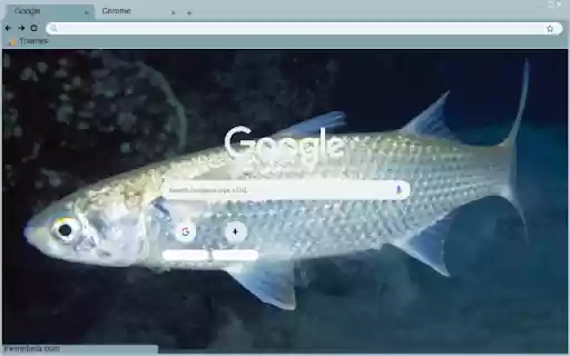 Ca doi from Chrome web store to be run with OffiDocs Chromium online Ca doi from Chrome web store to be run with OffiDocs Chromium online