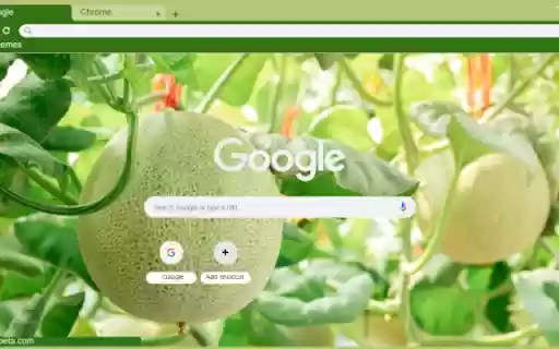 Cantaloupe Tree from Chrome web store to be run with OffiDocs Chromium online Cantaloupe Tree from Chrome web store to be run with OffiDocs Chromium online