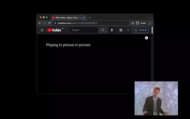 Chrome PIP from Chrome web store to be run with OffiDocs Chromium online Chrome PIP from Chrome web store to be run with OffiDocs Chromium online