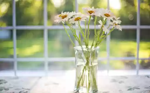 Chrysanthemum vase from Chrome web store to be run with OffiDocs Chromium online Chrysanthemum vase from Chrome web store to be run with OffiDocs Chromium online