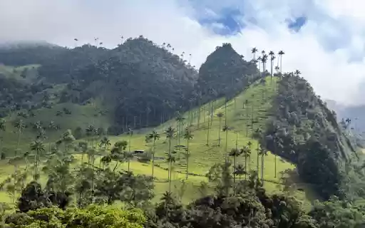 Cocora Valley from Chrome web store to be run with OffiDocs Chromium online Cocora Valley from Chrome web store to be run with OffiDocs Chromium online
