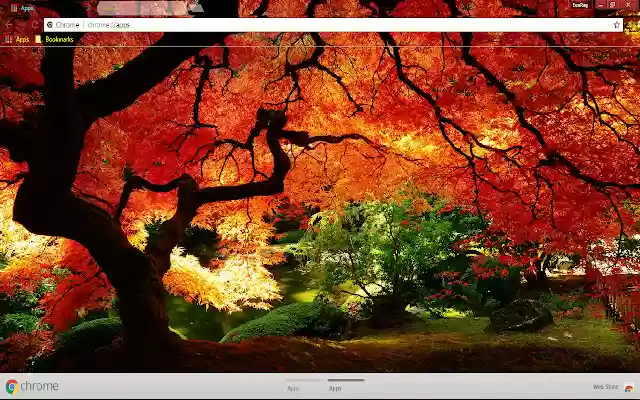 Colors Fall Garden Leaf Nature from Chrome web store to be run with OffiDocs Chromium online Colors Fall Garden Leaf Nature from Chrome web store to be run with OffiDocs Chromium online
