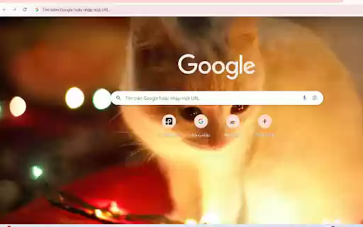 Cozy Cat with Holiday Lights from Chrome web store to be run with OffiDocs Chromium online Cozy Cat with Holiday Lights from Chrome web store to be run with OffiDocs Chromium online