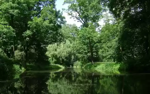 Dream green park from Chrome web store to be run with OffiDocs Chromium online Dream green park from Chrome web store to be run with OffiDocs Chromium online