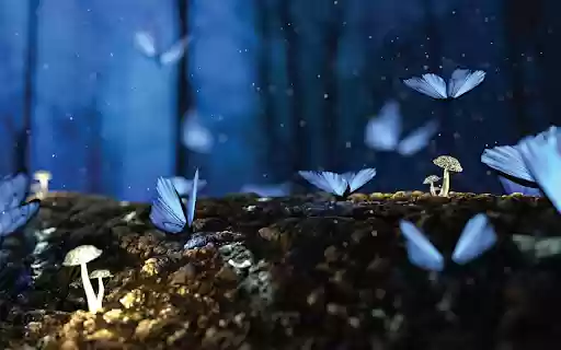 Fantasy Butterflies from Chrome web store to be run with OffiDocs Chromium online Fantasy Butterflies from Chrome web store to be run with OffiDocs Chromium online