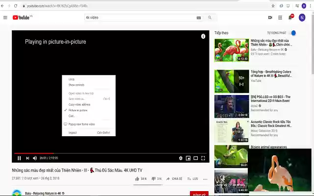 Floating Video Player from Chrome web store to be run with OffiDocs Chromium online Floating Video Player from Chrome web store to be run with OffiDocs Chromium online