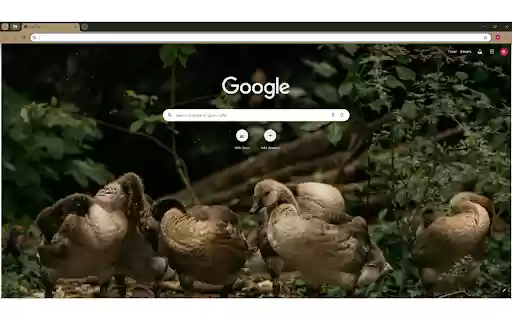 Flock of ducks on ground in green area from Chrome web store to be run with OffiDocs Chromium online Flock of ducks on ground in green area from Chrome web store to be run with OffiDocs Chromium online