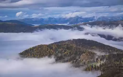 Foggy mountain forest from Chrome web store to be run with OffiDocs Chromium online Foggy mountain forest from Chrome web store to be run with OffiDocs Chromium online