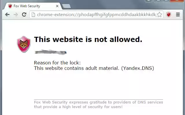 Fox Web Security from Chrome web store to be run with OffiDocs Chromium online Fox Web Security from Chrome web store to be run with OffiDocs Chromium online
