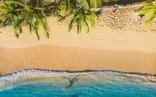 Green Coconut and the Sea from Chrome web store to be run with OffiDocs Chromium online Green Coconut and the Sea from Chrome web store to be run with OffiDocs Chromium online