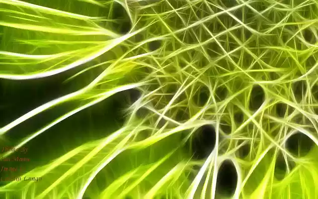 Green Fractal from Chrome web store to be run with OffiDocs Chromium online Green Fractal from Chrome web store to be run with OffiDocs Chromium online
