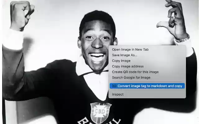 HTML to Markdown from Chrome web store to be run with OffiDocs Chromium online HTML to Markdown from Chrome web store to be run with OffiDocs Chromium online