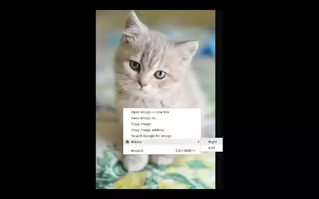 Image Rotate Context from Chrome web store to be run with OffiDocs Chromium online Image Rotate Context from Chrome web store to be run with OffiDocs Chromium online