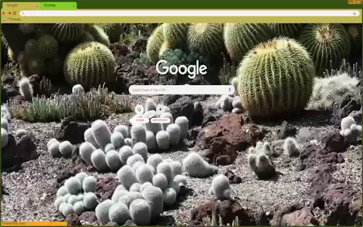 Immortal cactus from Chrome web store to be run with OffiDocs Chromium online Immortal cactus from Chrome web store to be run with OffiDocs Chromium online