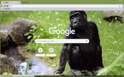 Khi Gorilla from Chrome web store to be run with OffiDocs Chromium online Khi Gorilla from Chrome web store to be run with OffiDocs Chromium online