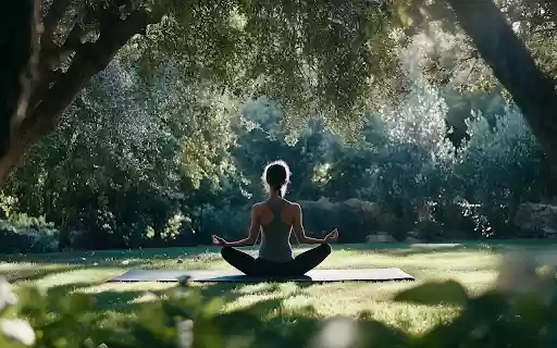 Meditate in the middle of nature from Chrome web store to be run with OffiDocs Chromium online Meditate in the middle of nature from Chrome web store to be run with OffiDocs Chromium online