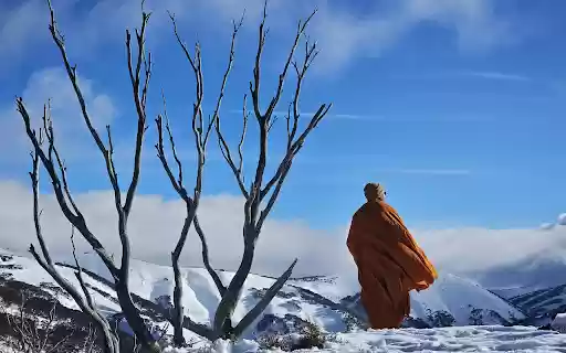Monk on the snowy mountain from Chrome web store to be run with OffiDocs Chromium online Monk on the snowy mountain from Chrome web store to be run with OffiDocs Chromium online