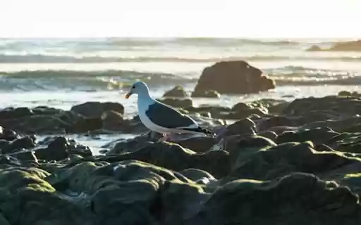 OCEAN BAY Theme from Chrome web store to be run with OffiDocs Chromium online OCEAN BAY Theme from Chrome web store to be run with OffiDocs Chromium online