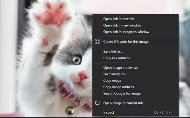 Open image in current tab from Chrome web store to be run with OffiDocs Chromium online Open image in current tab from Chrome web store to be run with OffiDocs Chromium online