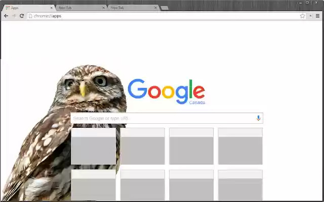 OWL Theme from Chrome web store to be run with OffiDocs Chromium online OWL Theme from Chrome web store to be run with OffiDocs Chromium online