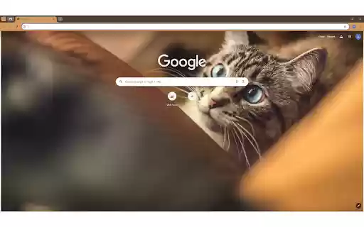 Photo of Tabby Cat from Chrome web store to be run with OffiDocs Chromium online Photo of Tabby Cat from Chrome web store to be run with OffiDocs Chromium online