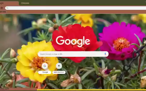 Portulaca from Chrome web store to be run with OffiDocs Chromium online Portulaca from Chrome web store to be run with OffiDocs Chromium online
