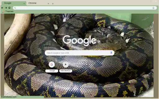 Ran Piton from Chrome web store to be run with OffiDocs Chromium online Ran Piton from Chrome web store to be run with OffiDocs Chromium online