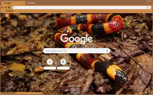 Ran san ho from Chrome web store to be run with OffiDocs Chromium online Ran san ho from Chrome web store to be run with OffiDocs Chromium online