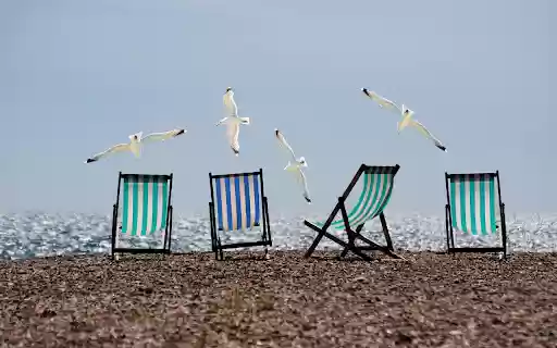 Seagulls spread their wings from Chrome web store to be run with OffiDocs Chromium online Seagulls spread their wings from Chrome web store to be run with OffiDocs Chromium online