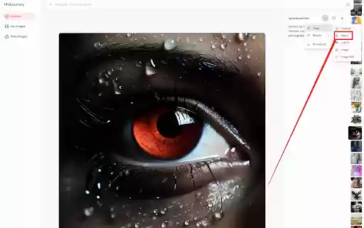 SeedMidjourney from Chrome web store to be run with OffiDocs Chromium online SeedMidjourney from Chrome web store to be run with OffiDocs Chromium online